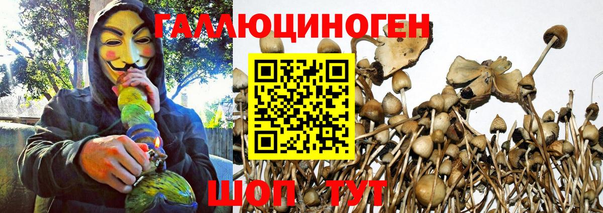 Галлюциногенные грибы Psilocybine cubensis  Вход с VPN  Кыштым  Псилоцибиновые грибы GOLDEN TEACHER 