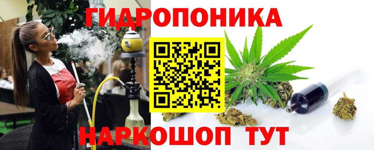 Бошки Шишки гибрид Кыштым